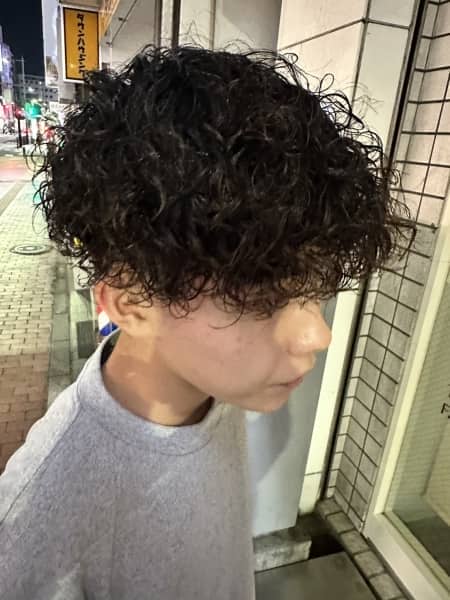 プードルパーマ