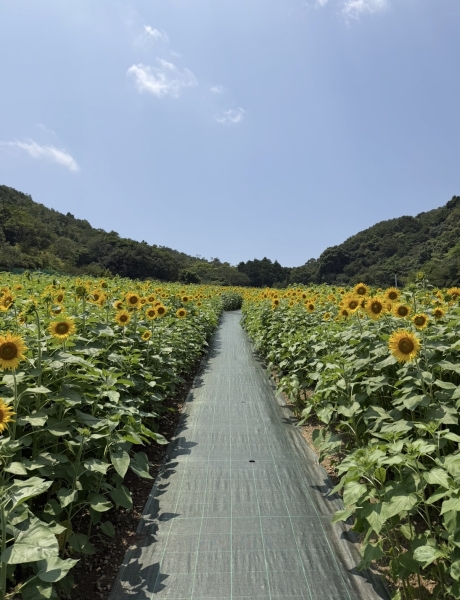 暑い夏こそ名古屋で爽快メンズカット！